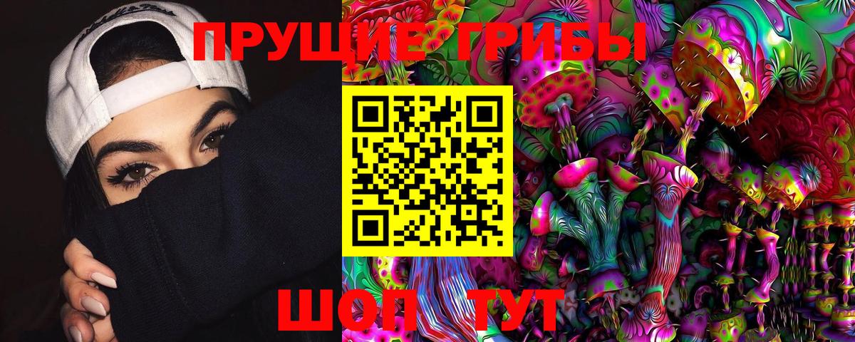 Псилоцибиновые грибы MAGIC MUSHROOMS  Вход с VPN  Минеральные Воды 