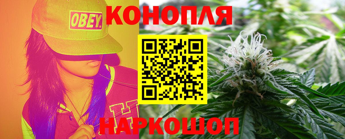 Марихуана марихуана Минеральные Воды